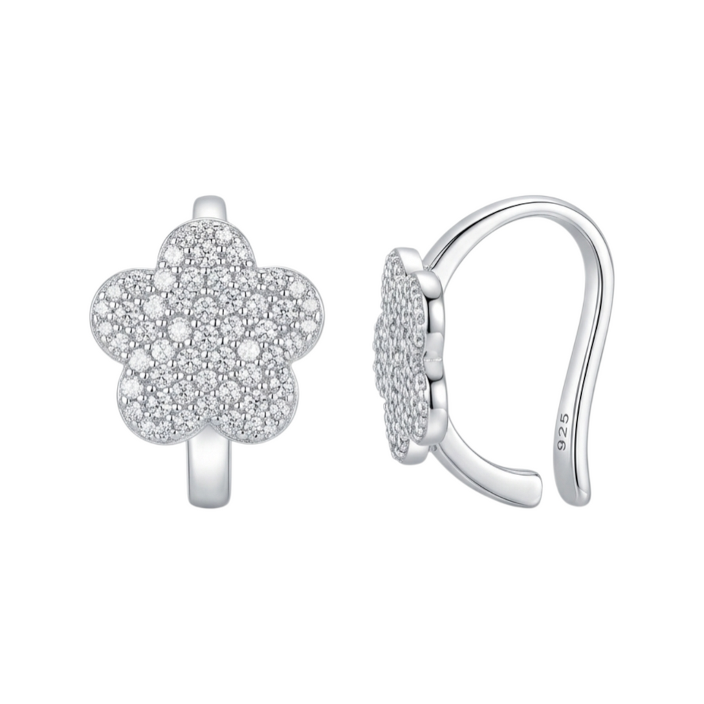 Boucles d'oreilles en argent