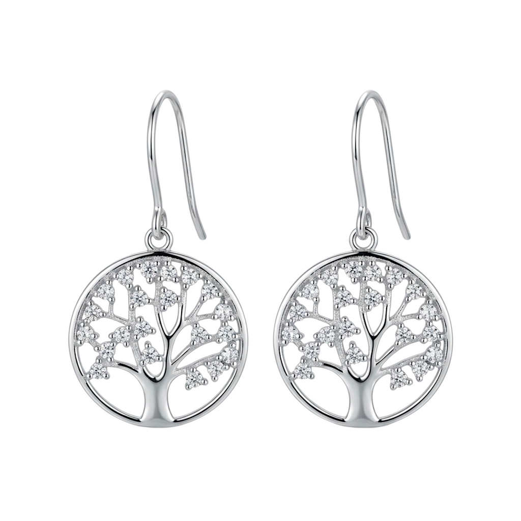Boucles d'oreilles en argent