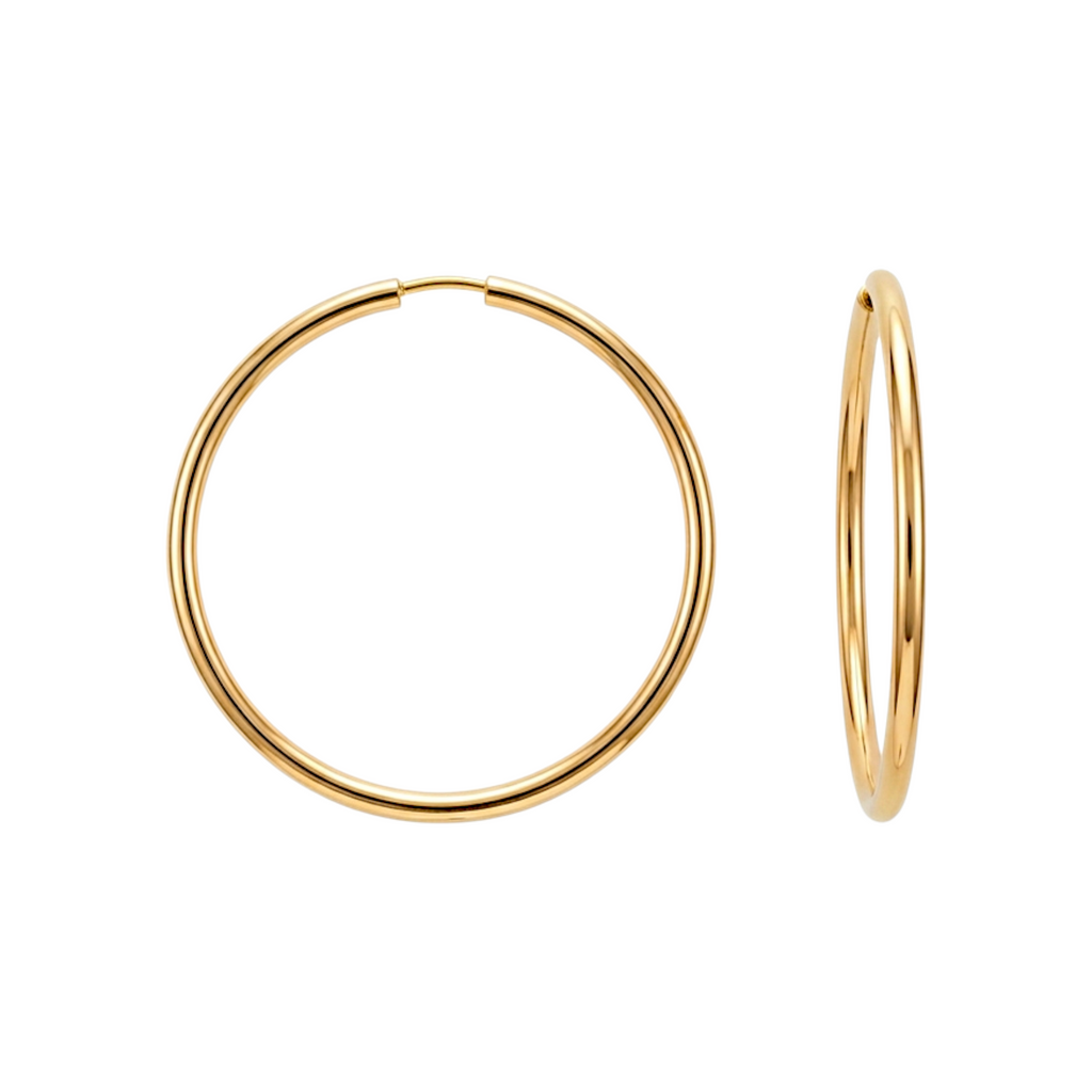 Gold Hoop Earrings